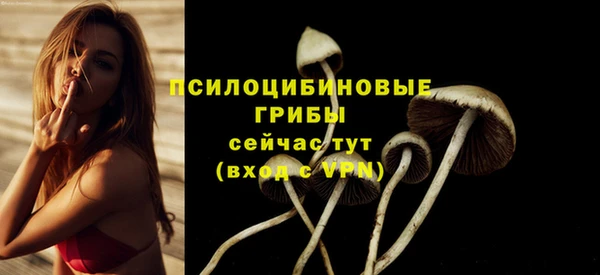 дживик Костерёво