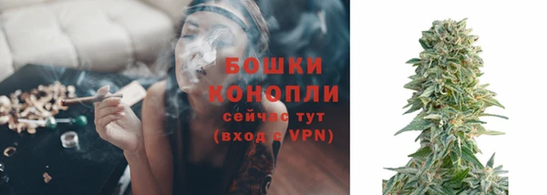 дживик Костерёво