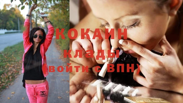 молекула духа Коряжма