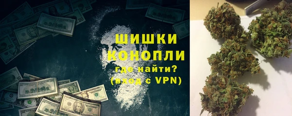 молекула духа Коряжма