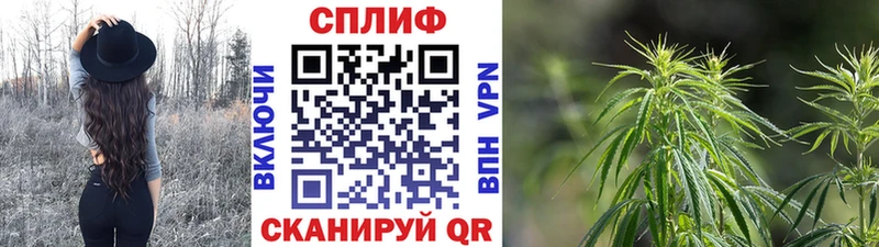 Купить закладки  Крымск  Канабис THC 21% 